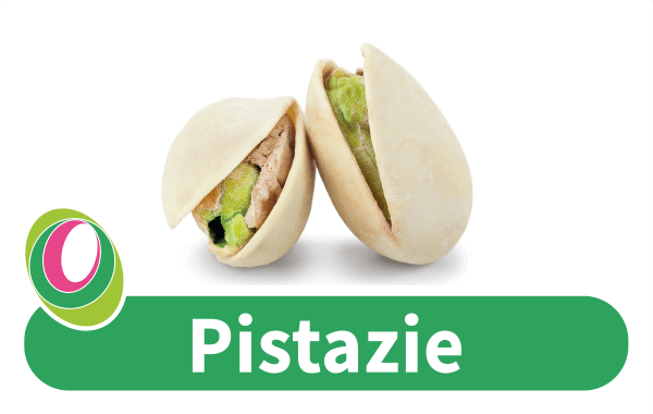 Pistazie Abbildung von Pistazien mit entsprechender Beschriftung.