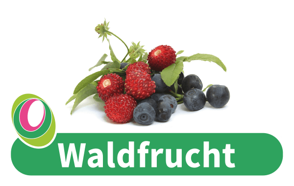 Waldfrucht Abbildung von Waldfrüchten mit entsprechender Beschriftung.