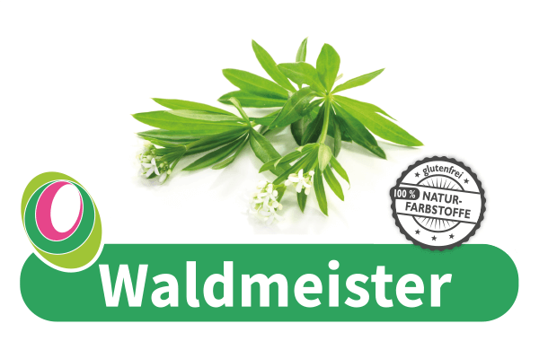 Waldmeister Abbildung von Waldmeister mit entsprechender Beschriftung.