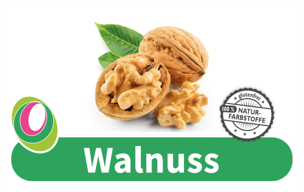 Walnuss Abbildung einer Walnuss mit entsprechender Beschriftung.